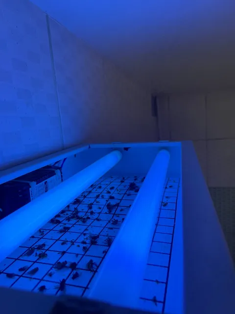 Armadilha luminosa de monitoramento em operação